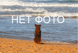 События