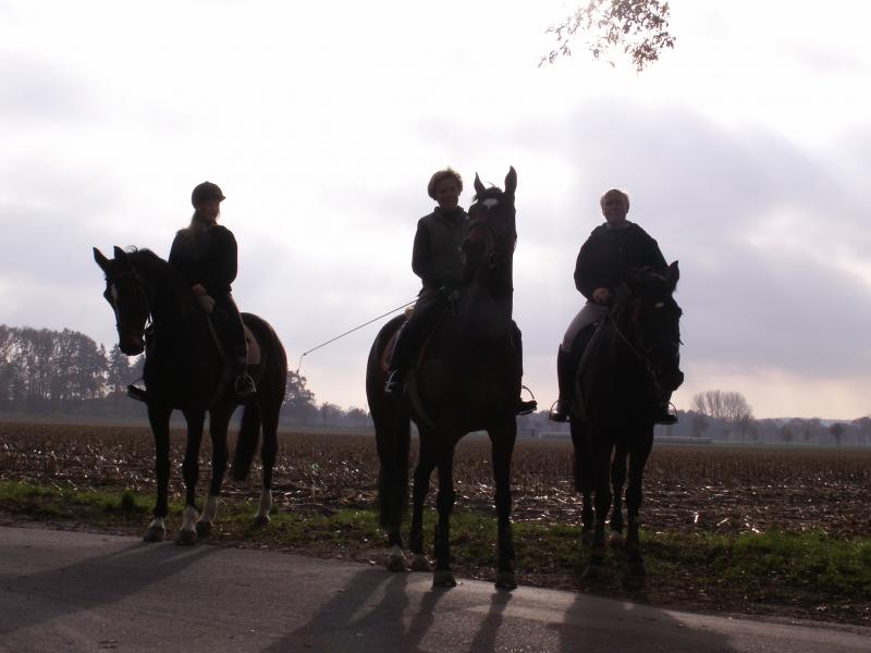 Reiten am Plattensee